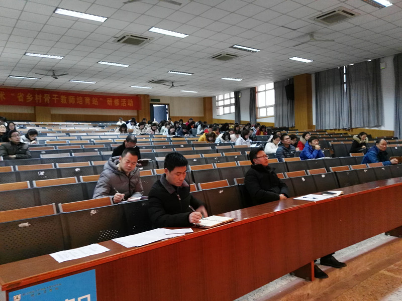 IMG_20181210_154856.jpg