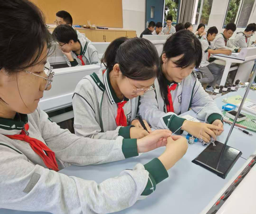 微信图片_20251018114300_148_58.jpg 微信图片_20251018114300_148_58.jpg